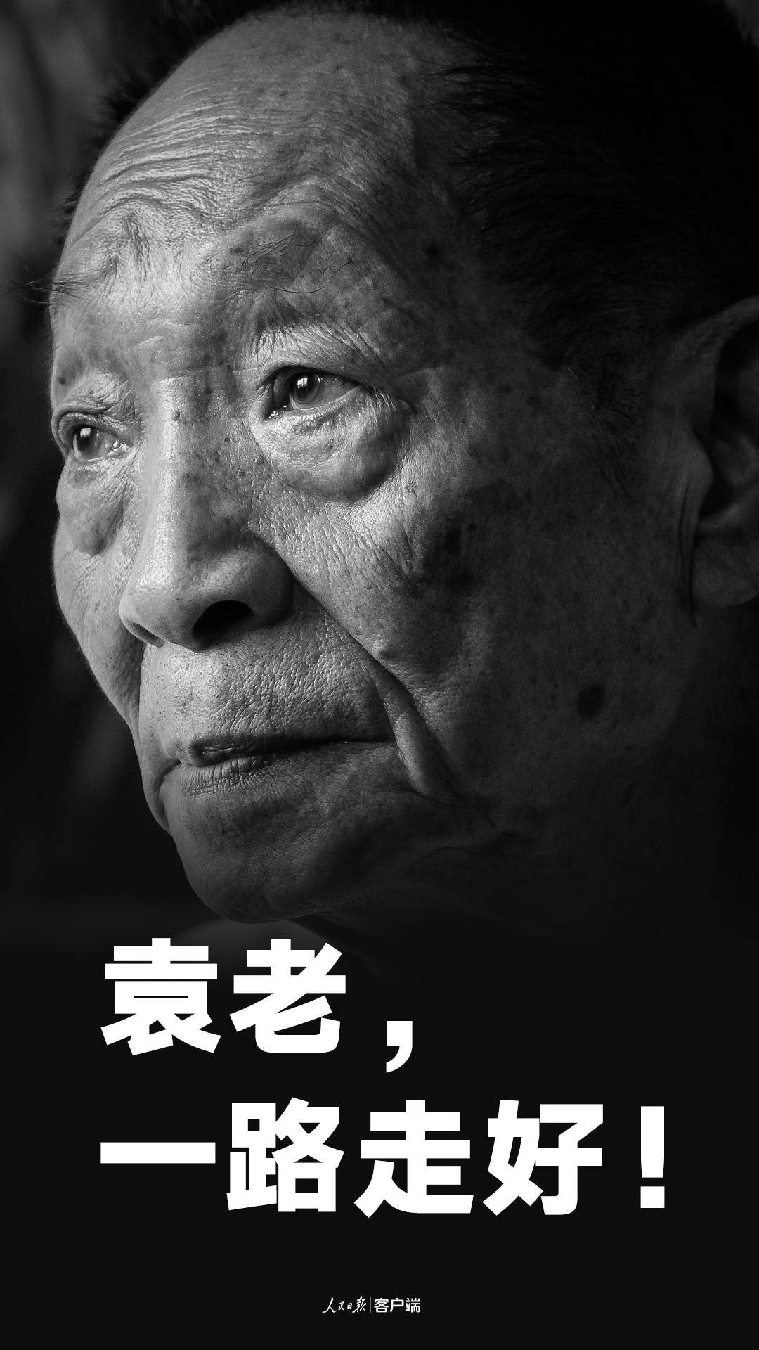 悼念袁隆平